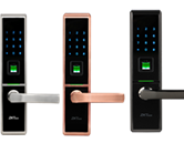 Khóa Smartlock TL100